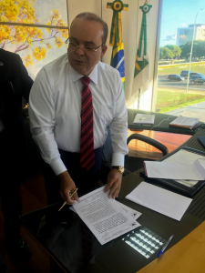 Ibaneis assina pauta-