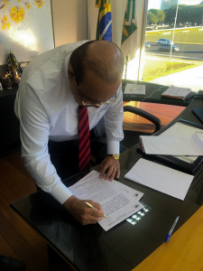 Ibaneis assina pauta--