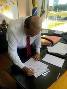 Ibaneis assina pauta